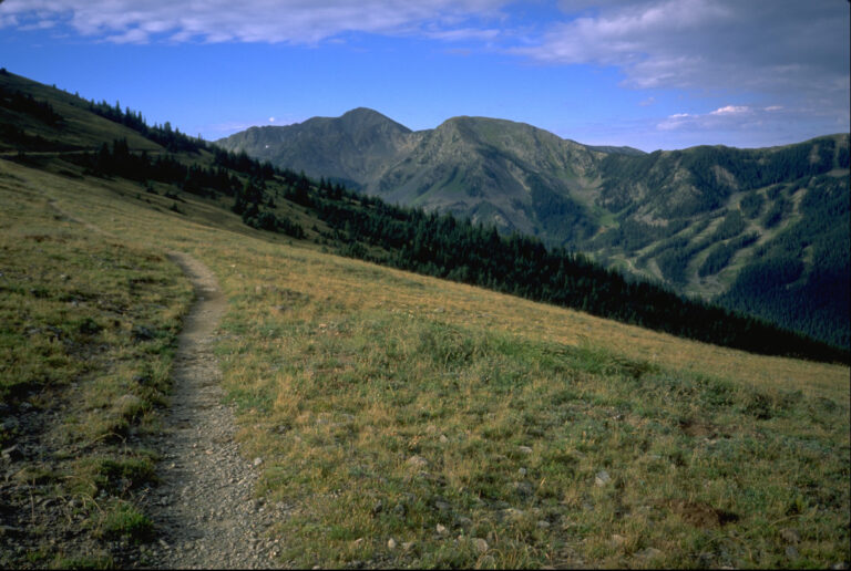 Along the trail to Wheeler Peak summit
