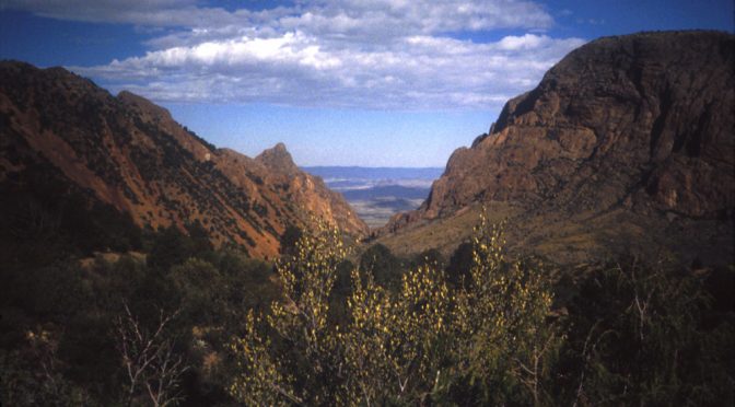 TR-Big Bend NP-April 1985