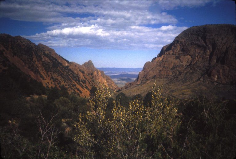 TR-Big Bend NP-April 1985