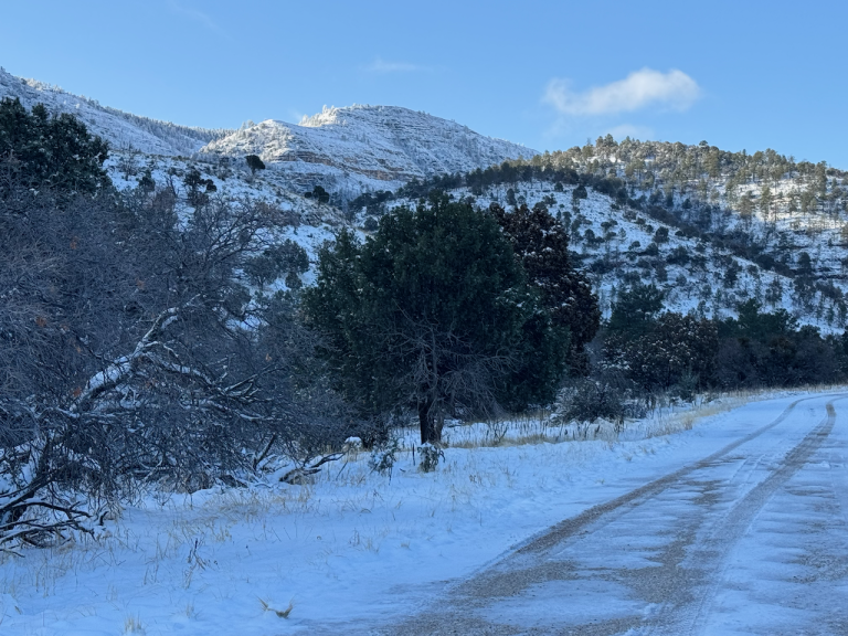 TR-Guadalupe Mountains National Park camping and (canceled) backpacking-April 2025